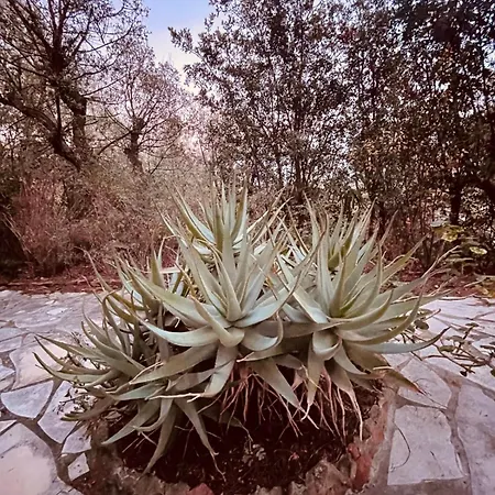 빌라 Magnifique Climatise Avec Vue Ref Les Calanques *